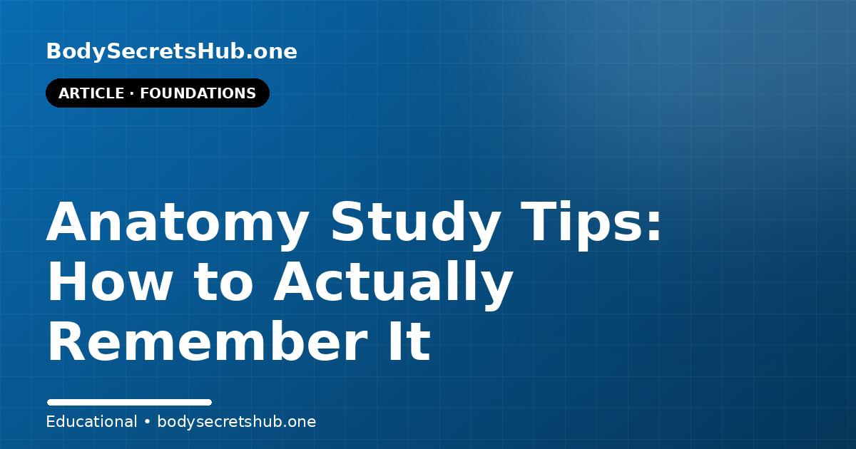 Anatomy Study Tips: How to Actually Remember It