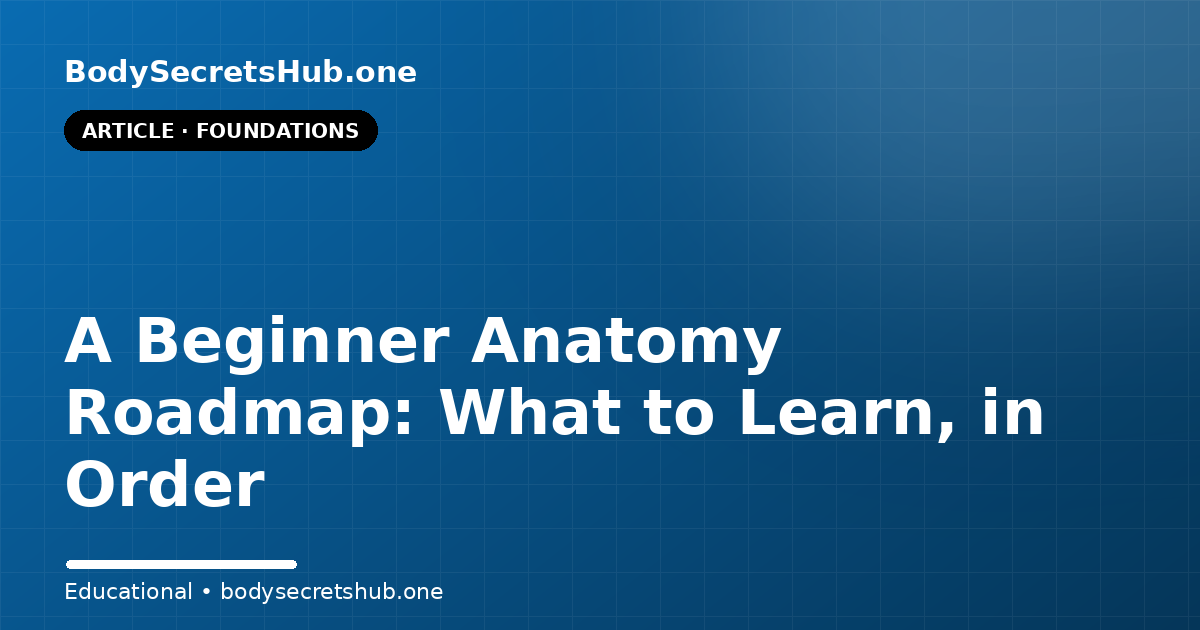 A Beginner Anatomy Roadmap: What to Learn, in Order