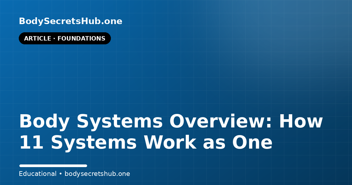 Body Systems Overview: How 11 Systems Work as One