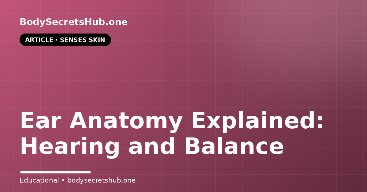 Ear Anatomy Explained: Hearing and Balance