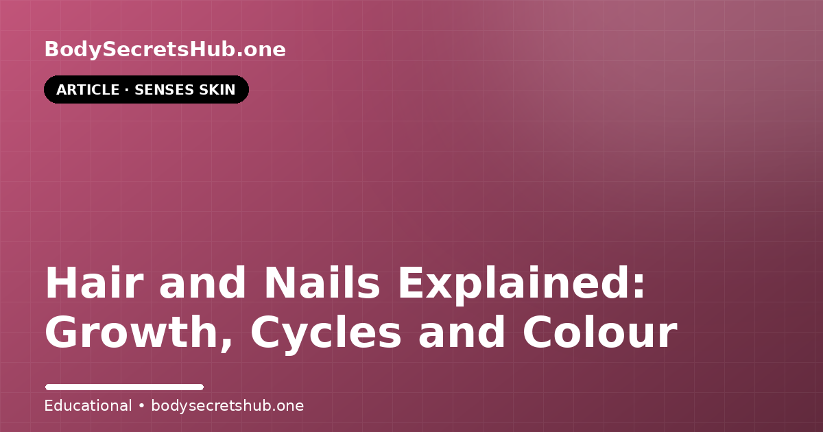 Hair and Nails Explained: Growth, Cycles and Colour