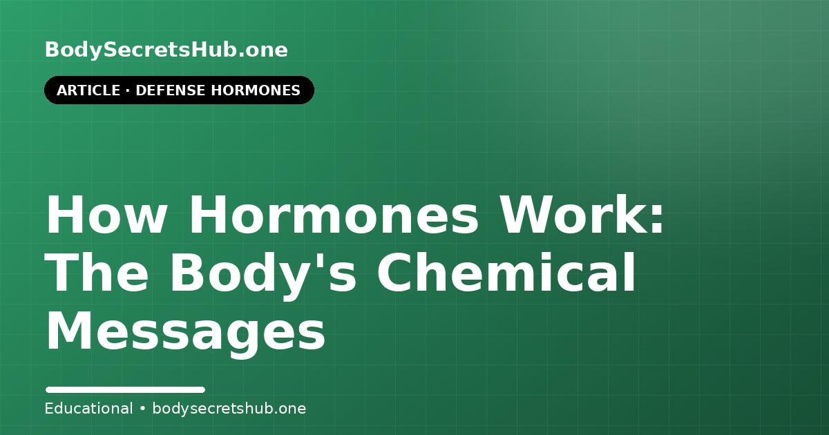 How Hormones Work: The Body's Chemical Messages