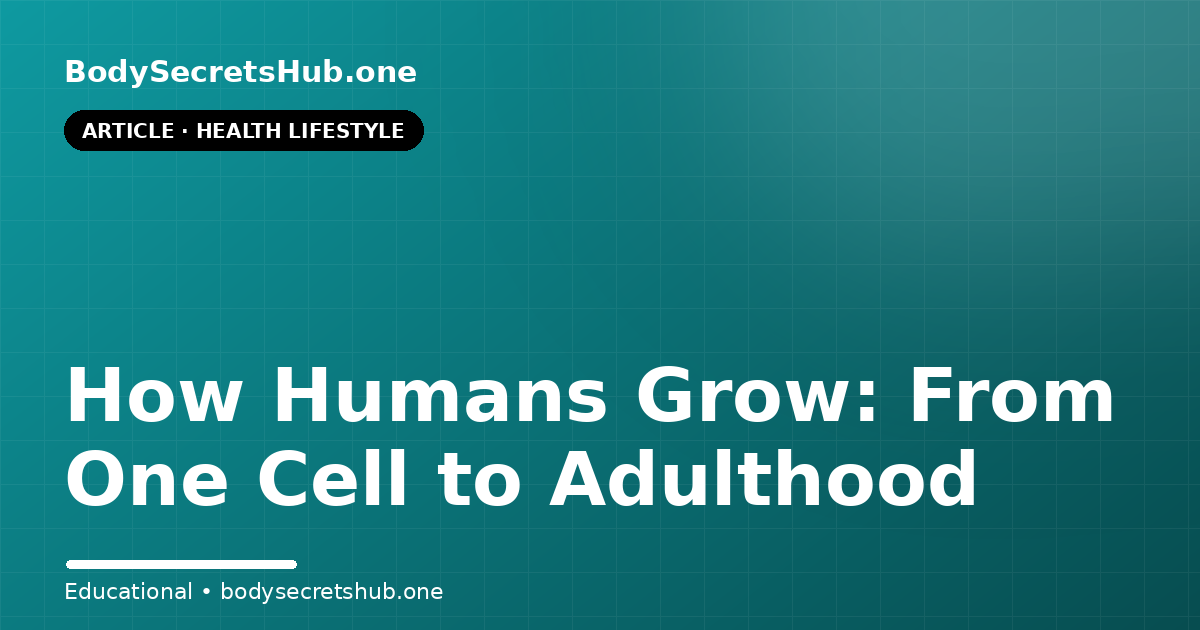 How Humans Grow: From One Cell to Adulthood