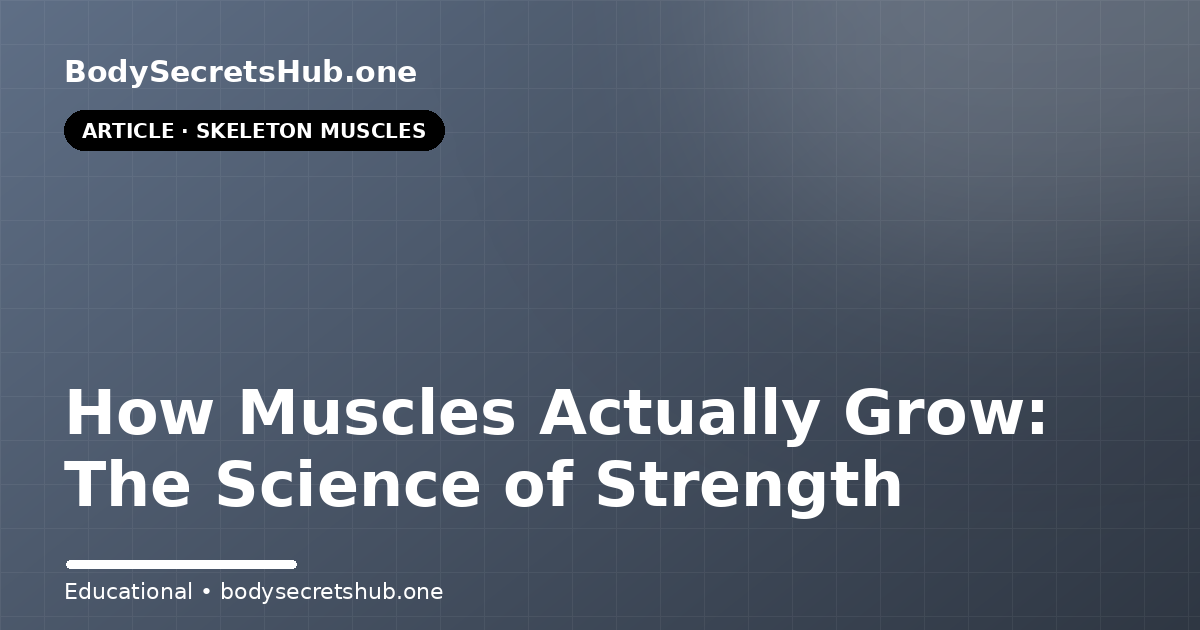How Muscles Actually Grow: The Science of Strength