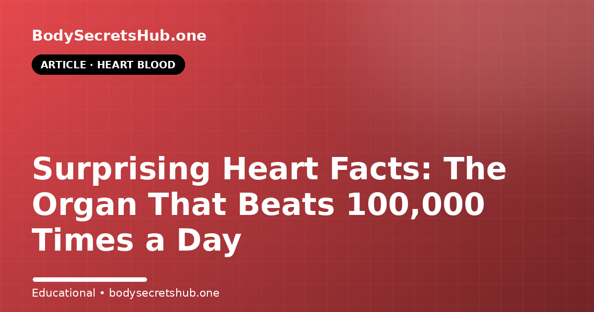 Surprising Heart Facts: The Organ That Beats 100,000 Times a Day