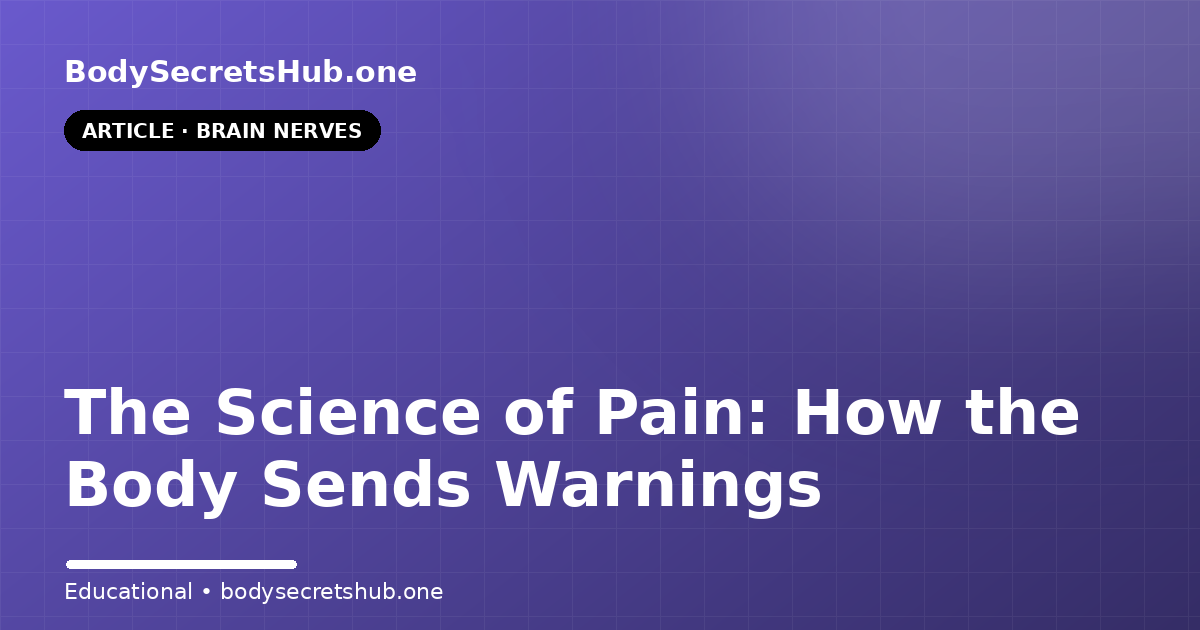 The Science of Pain: How the Body Sends Warnings