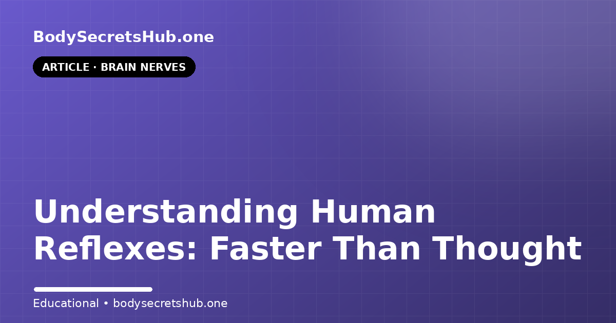 Understanding Human Reflexes: Faster Than Thought