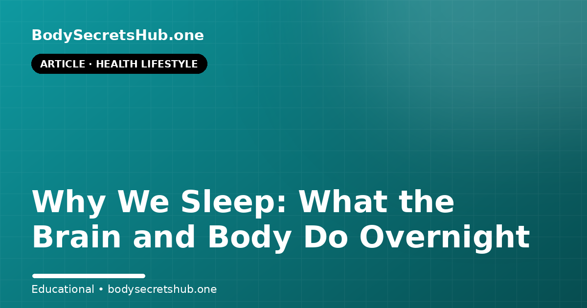 Why We Sleep: What the Brain and Body Do Overnight