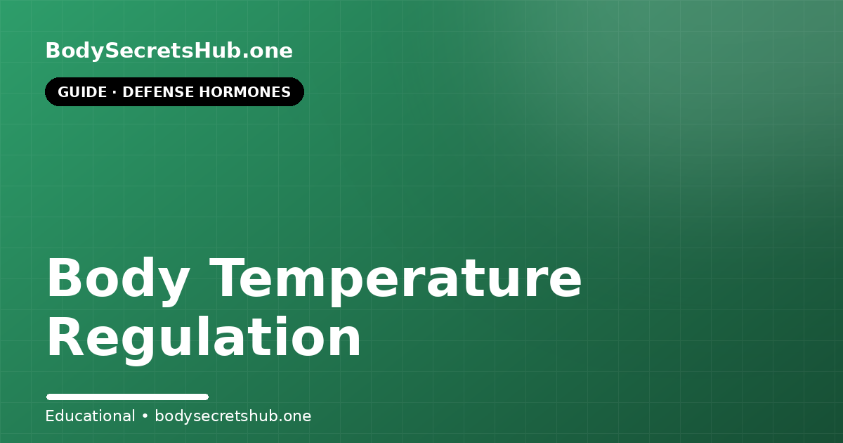 Body Temperature Regulation — illustrated overview