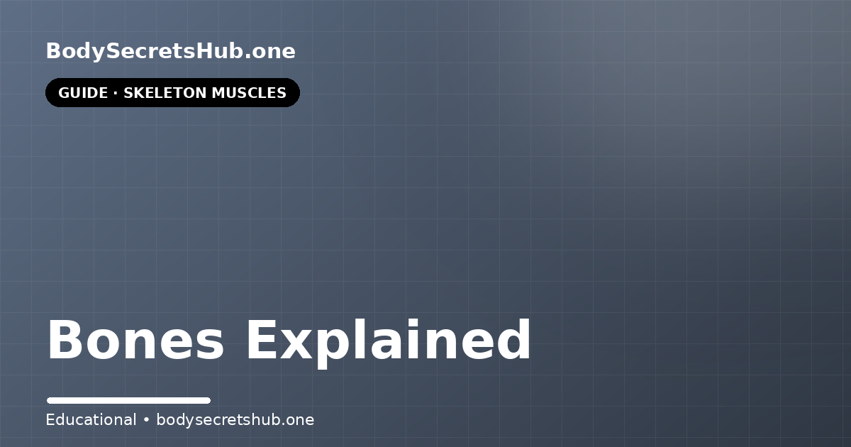 Bones Explained — illustrated overview