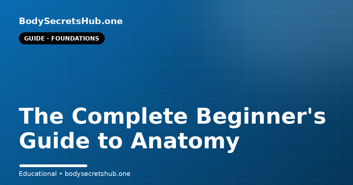The Complete Beginner's Guide to Anatomy — illustrated overview