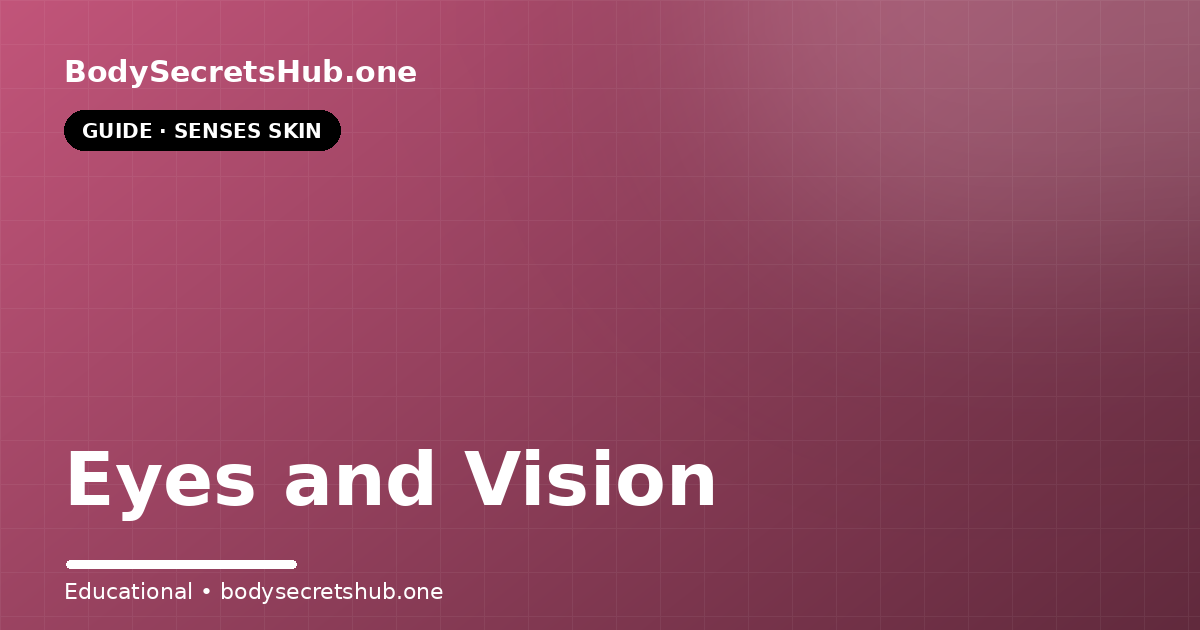 Eyes and Vision — illustrated overview