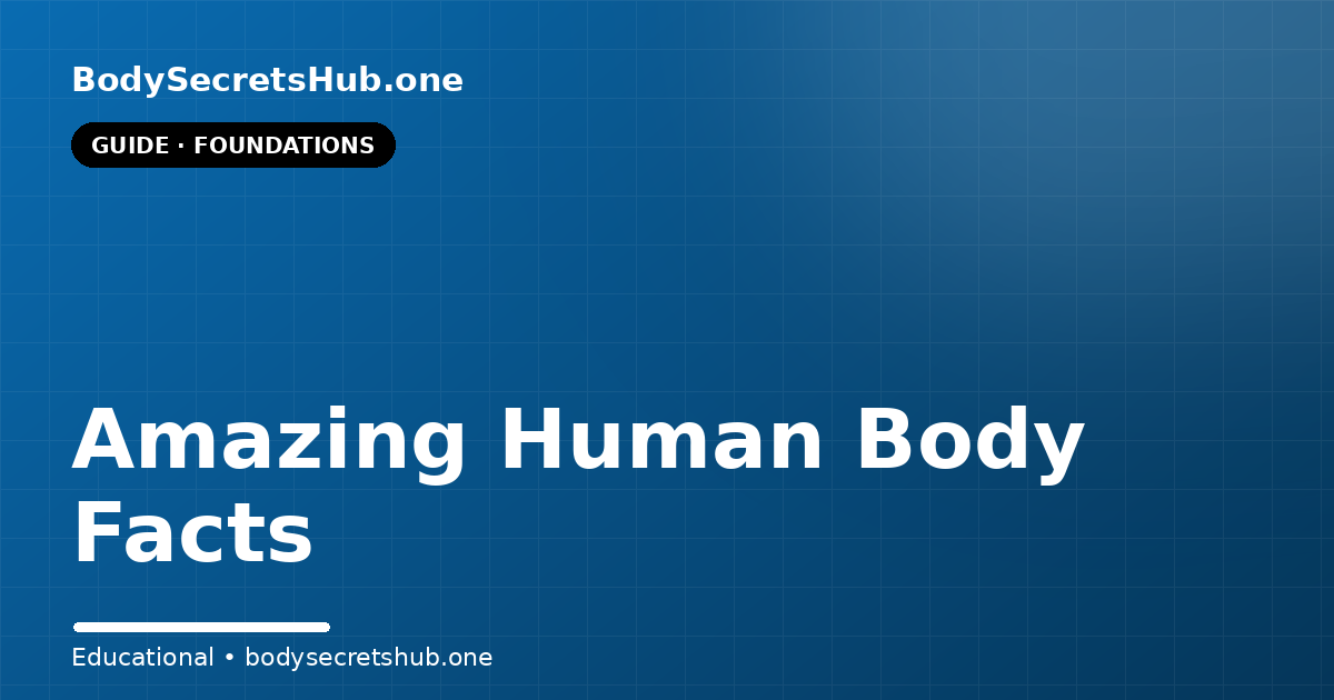 Amazing Human Body Facts — illustrated overview