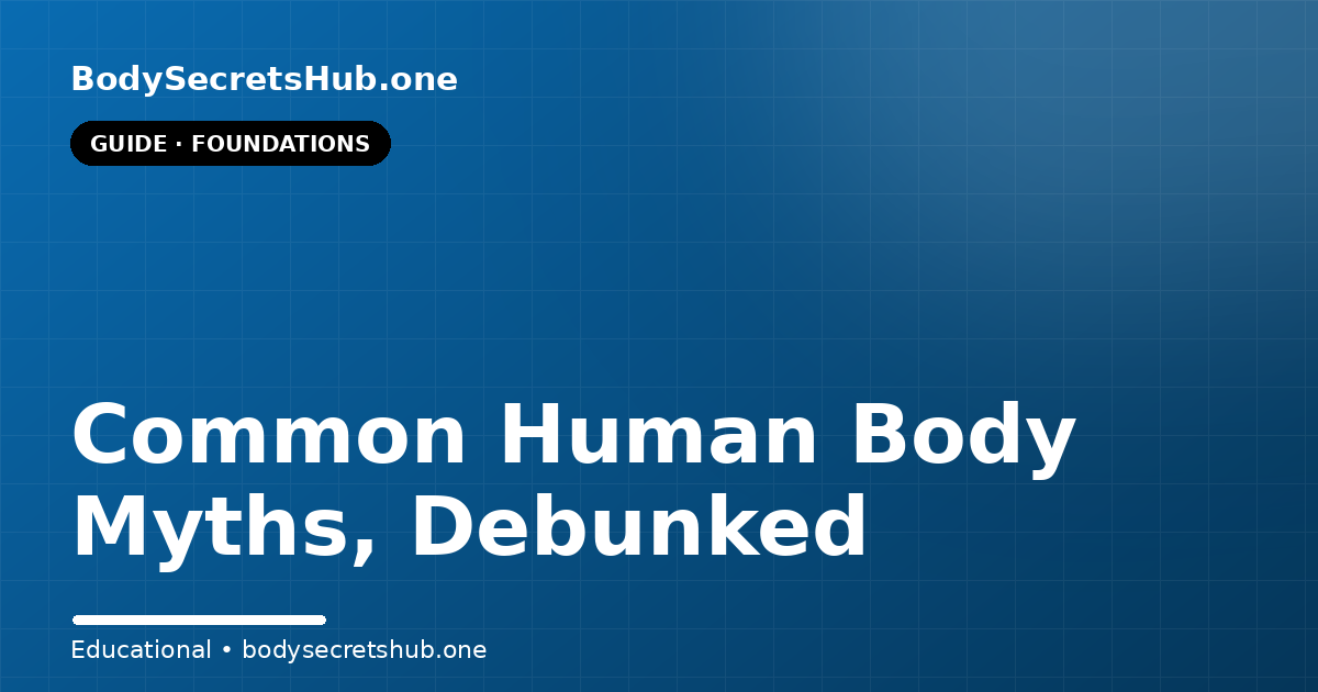 Common Human Body Myths, Debunked — illustrated overview