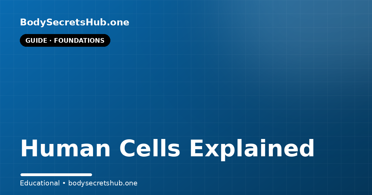 Human Cells Explained — illustrated overview