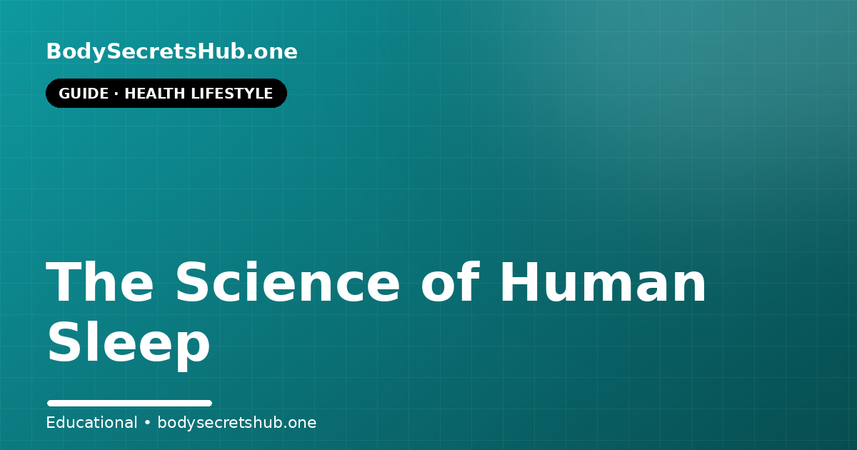 The Science of Human Sleep — illustrated overview