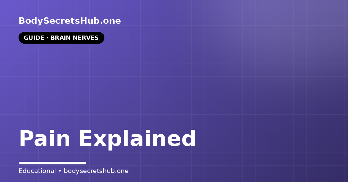 Pain Explained — illustrated overview