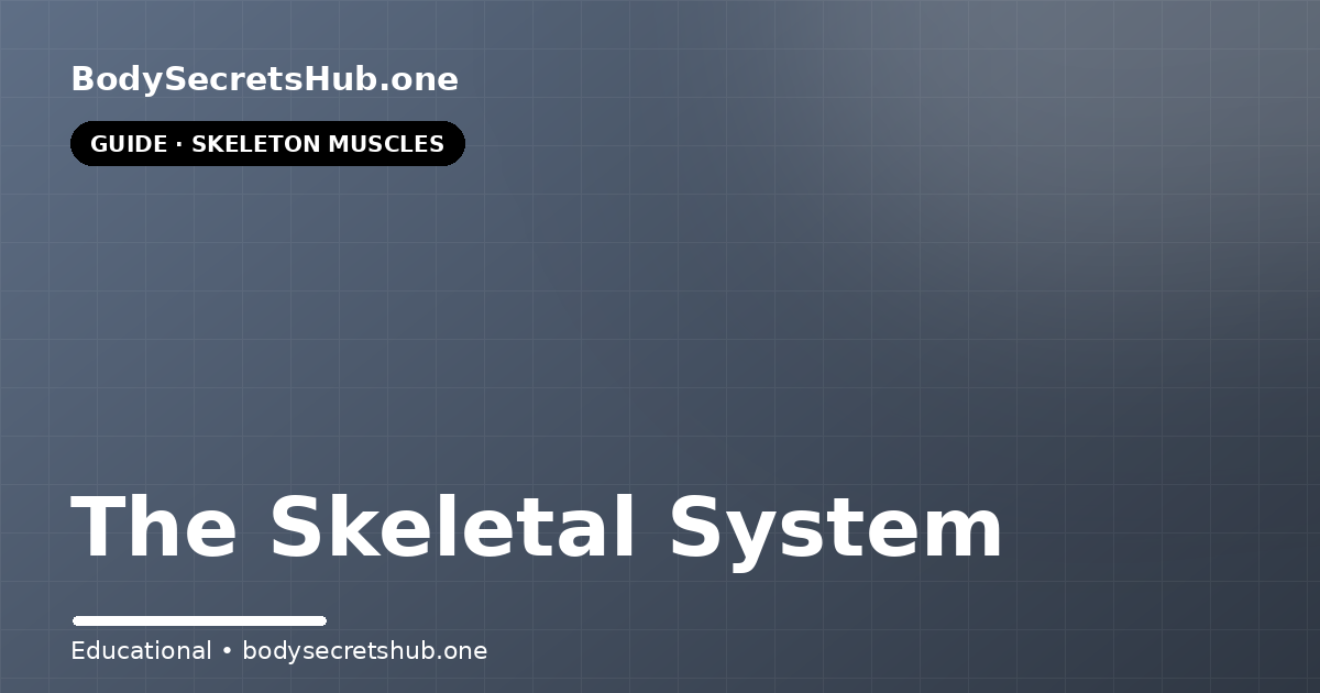 The Skeletal System — illustrated overview