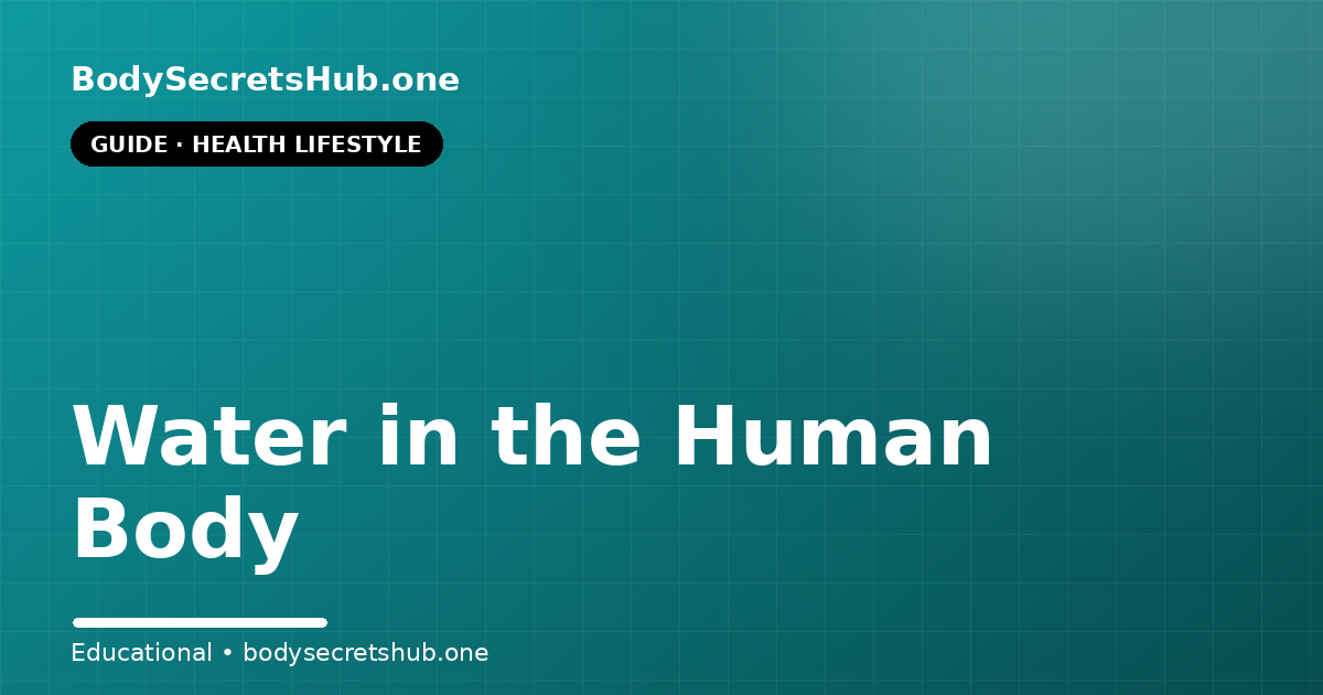 Water in the Human Body — illustrated overview